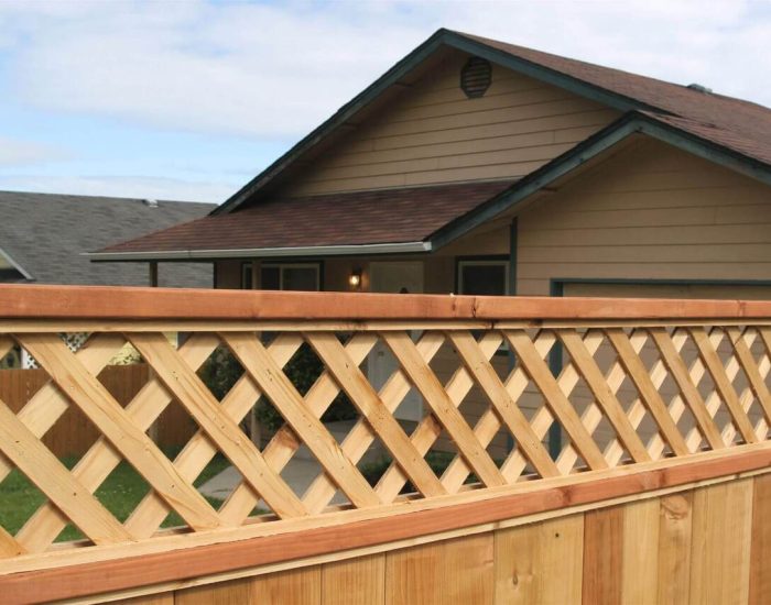 trellis fencing 2