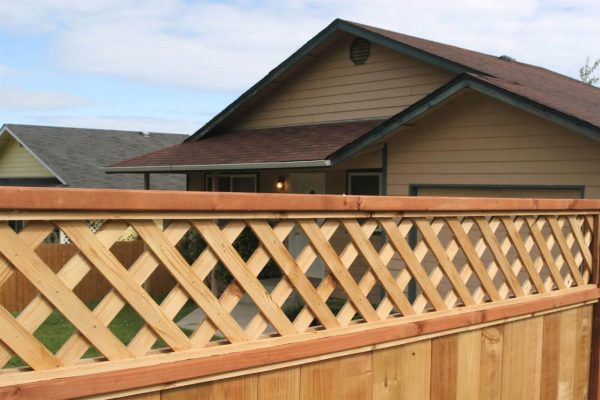 trellis fencing